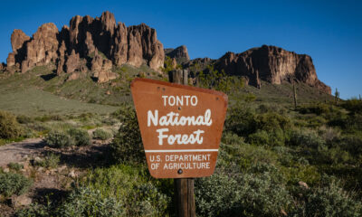 6 merveilles naturelles à rechercher dans la forêt nationale de Tonto en Arizona
