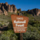 6 merveilles naturelles à rechercher dans la forêt nationale de Tonto en Arizona