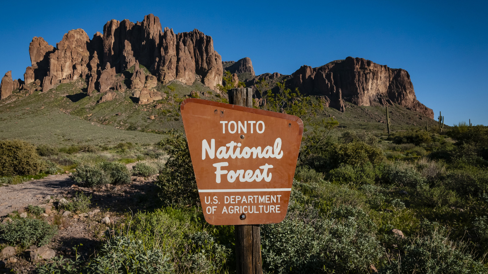 6 merveilles naturelles à rechercher dans la forêt nationale de Tonto en Arizona