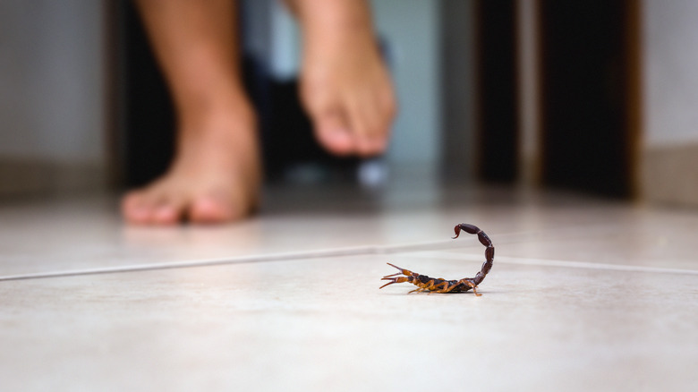 Pieds nus marchant vers un petit scorpion assis sur un sol carrelé