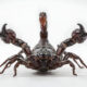 Pourquoi la mort par piqûre de scorpion est l'une des pires façons de mourir