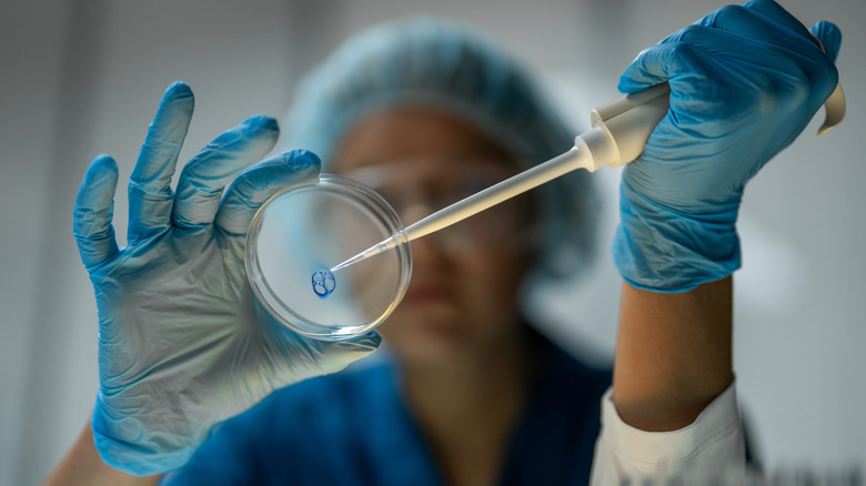 Une personne en EPI pipette une solution sur une boîte de Pétri.