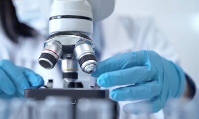 Les scientifiques ne s'attendaient pas à ce que cette cellule fabriquée en laboratoire commence à évoluer d'elle-même
