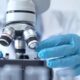 Les scientifiques ne s'attendaient pas à ce que cette cellule fabriquée en laboratoire commence à évoluer d'elle-même