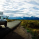 Pas Yosemite ou Great Smoky Mountains : ce parc national populaire compte le plus de campings