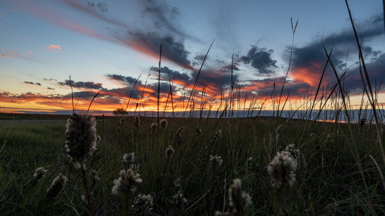 coucher de soleil sur la réserve nationale des Prairies à herbes hautes