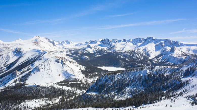 Une vue sur les montagnes enneigées de Mammoth Mountain à Mammoth Lakes