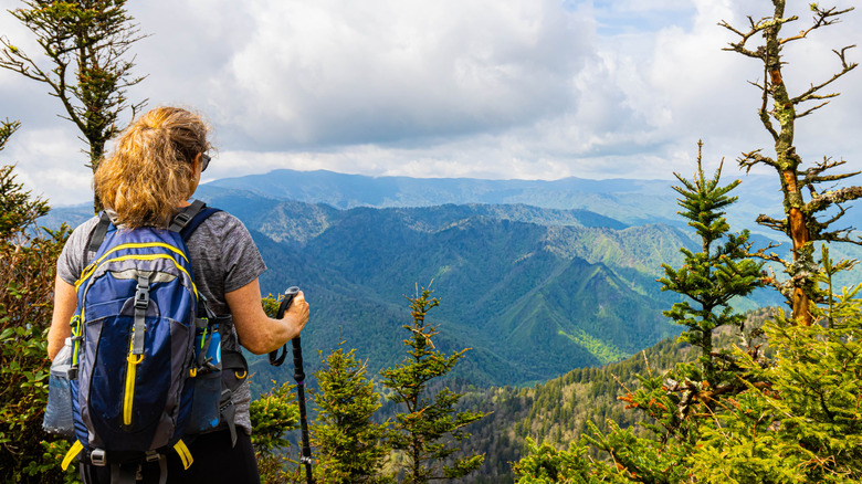 Un randonneur profitant de la vue sur le parc national des Great Smoky Mountains.