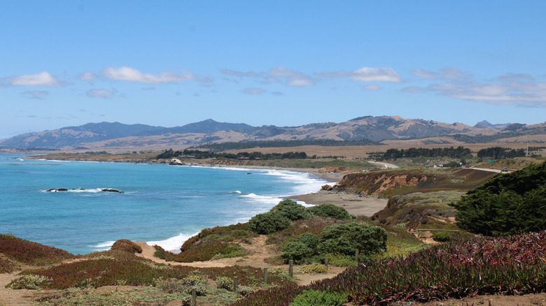 Paysage de plage de la côte centrale de Californie près de Cambria entre San Luis Obispo et Big Sur