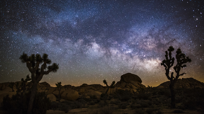 Paysage désertique la nuit avec la Voie Lactée. Parc national de Joshua Tree en Californie
