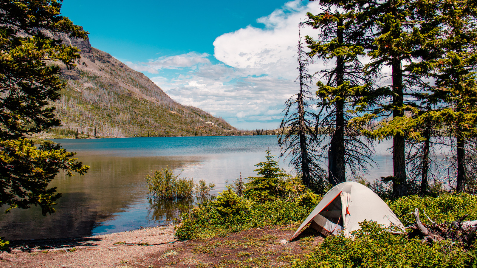 C'est la meilleure façon de choisir un camping dans un parc national si vous voulez éviter les foules