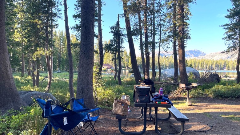 camping avec table de pique-nique et fournitures en forêt avec vue sur le lac Wrights