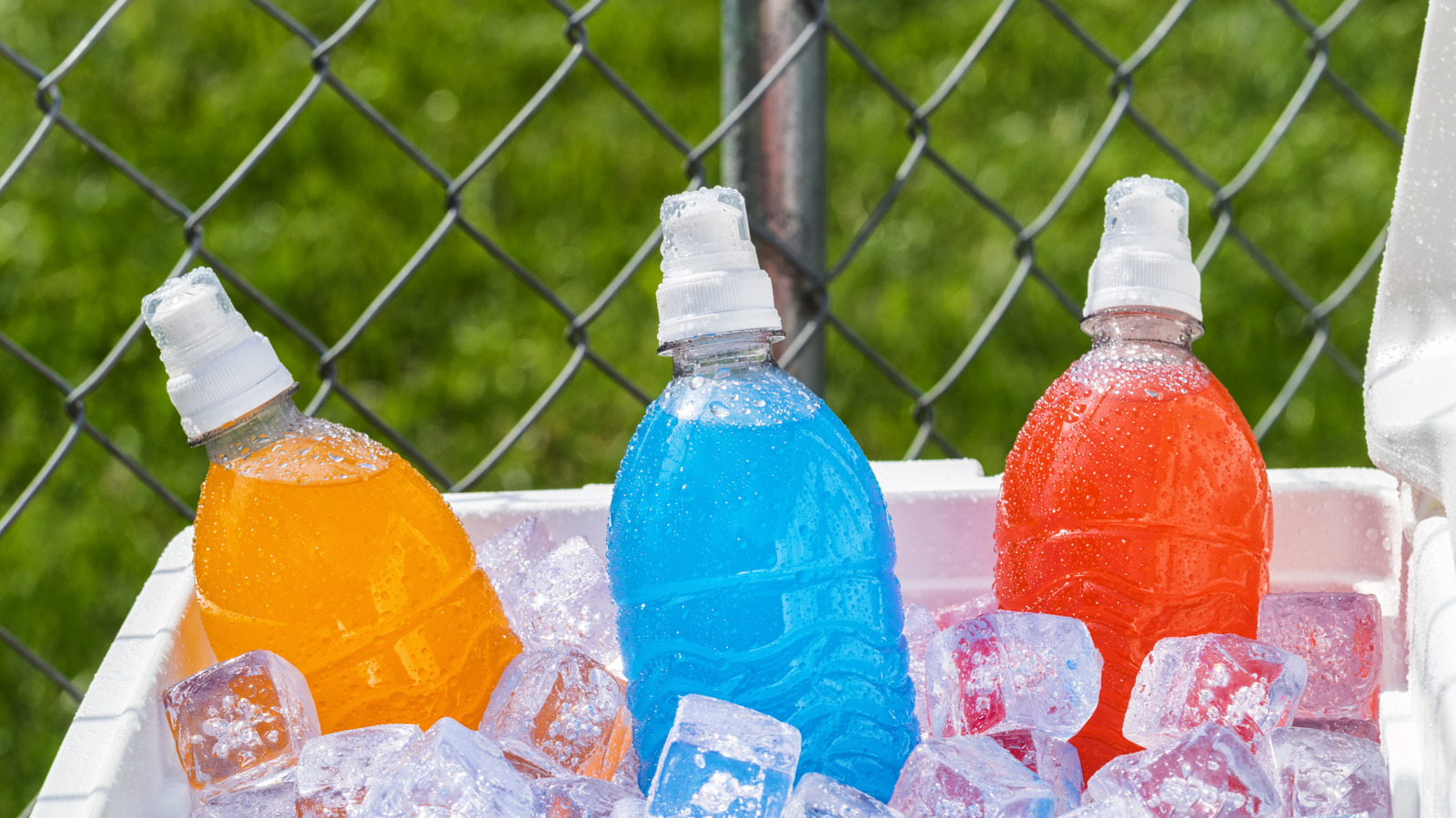 Boire des boissons pour sportifs tous les jours pourrait avoir un effet inattendu sur votre santé