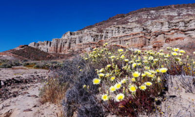 Ce magnifique parc d'État de Californie avec ses canyons colorés est un favori des habitants