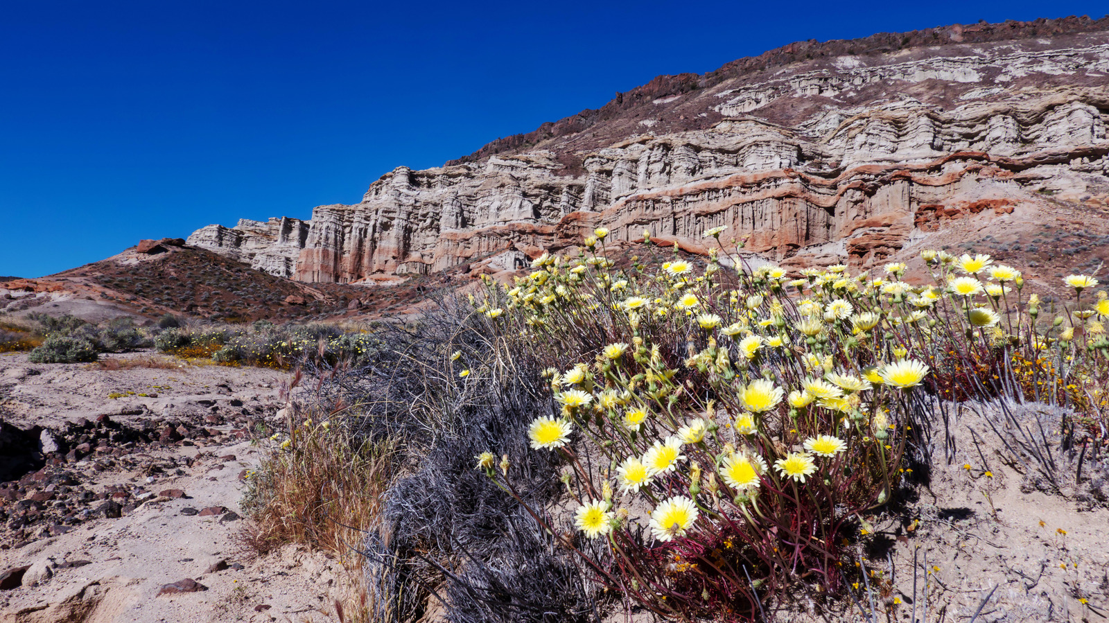 Ce magnifique parc d'État de Californie avec ses canyons colorés est un favori des habitants