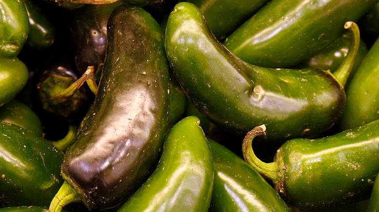 Gros plan de jalapeños exposés pour achat dans un magasin