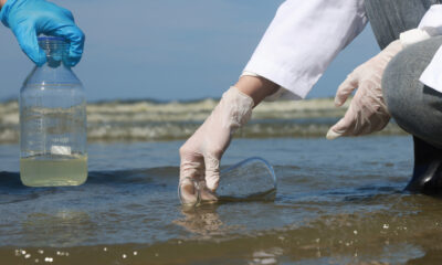 L'épidémie mortelle de bactéries carnivores qui sévit sur les plages américaines