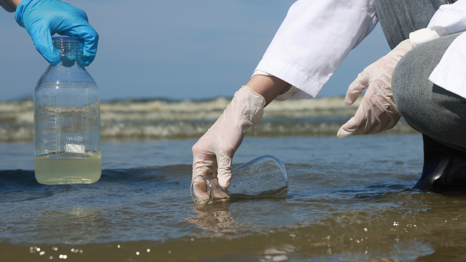 L'épidémie mortelle de bactéries carnivores qui sévit sur les plages américaines