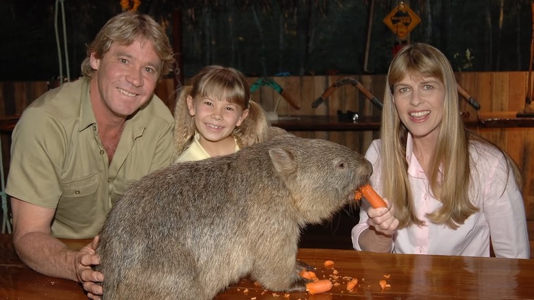Steve Irwin, Bindi Irwin et Terri Irwin nourrissent un wombat