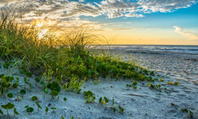 Pris en sandwich entre Fort Myers et Naples se trouve l'une des plus belles plages préservées de Floride