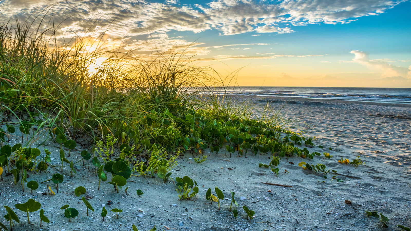 Pris en sandwich entre Fort Myers et Naples se trouve l'une des plus belles plages préservées de Floride