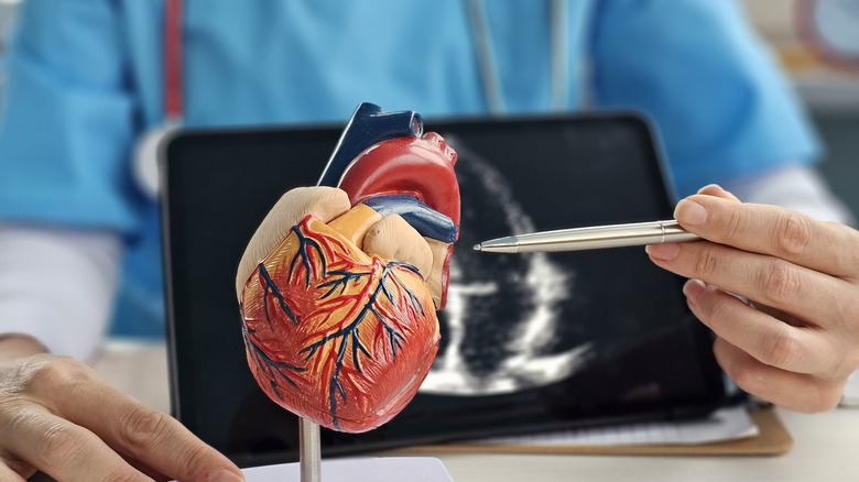 Médecin pointant vers le modèle de coeur avec imagerie en arrière-plan