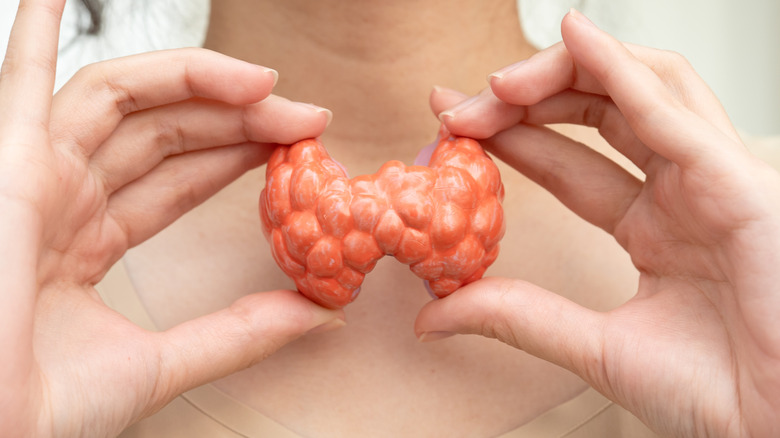 Femme tenant un modèle de thyroïde devant son cou