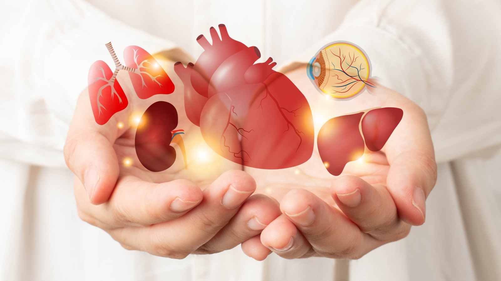 L’organe inattendu qui pourrait secrètement diriger votre vie