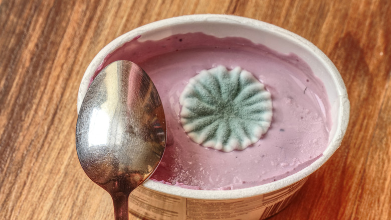 Cercle vert de moisissure sur le yaourt rose