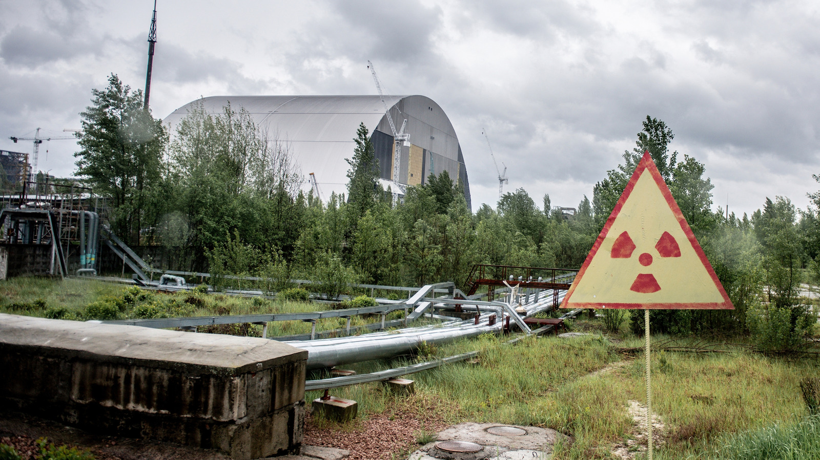 Les scientifiques affirment que les champignons noirs qui se nourrissent des ruines de Tchernobyl pourraient résoudre un problème important pour les voyages spatiaux