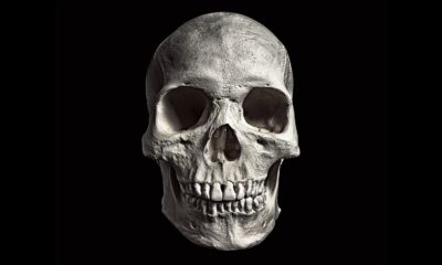 Le phénomène bizarre qui peut arriver aux dents humaines après la mort