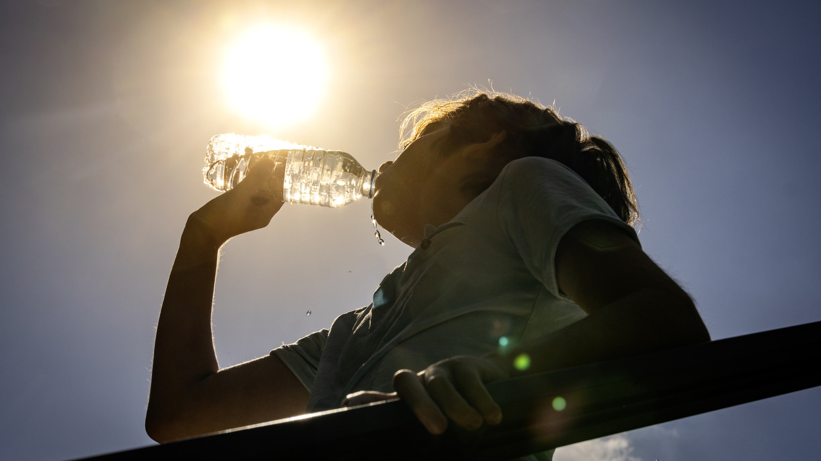 Le mythe commun sur l'urine qui a été démystifié par la science