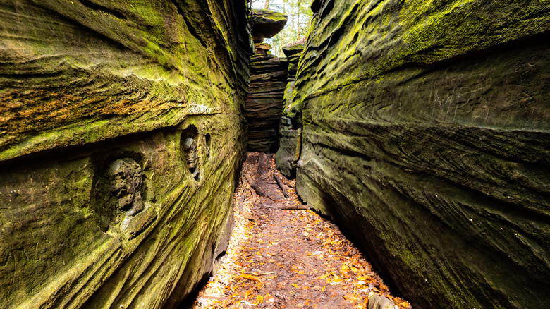Un canyon à sous le long du sentier Ledges dans le parc national de Cuyahoga Valley.