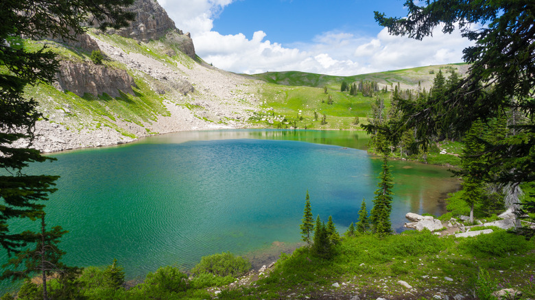 Un lac alpin et des pins sur le sentier Teton Crest dans le parc national de Grand Teton.