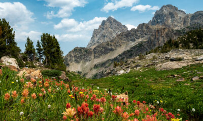 Le premier sentier de randonnée du parc national de Grand Teton offre une vue imprenable sur les montagnes
