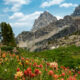 Le premier sentier de randonnée du parc national de Grand Teton offre une vue imprenable sur les montagnes