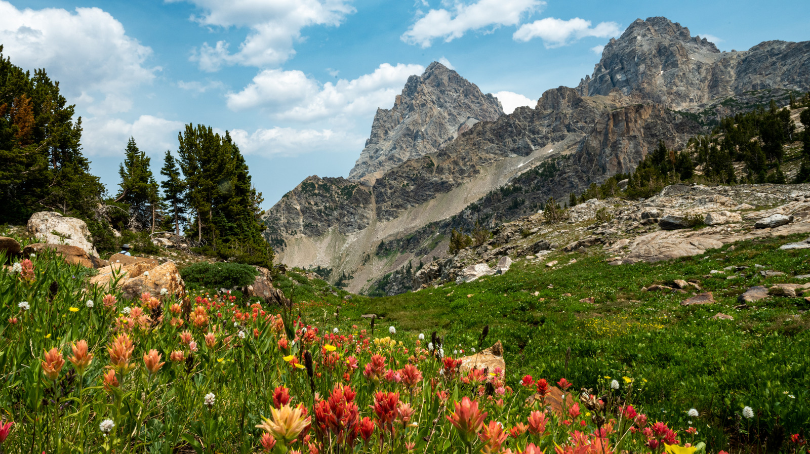 Le premier sentier de randonnée du parc national de Grand Teton offre une vue imprenable sur les montagnes