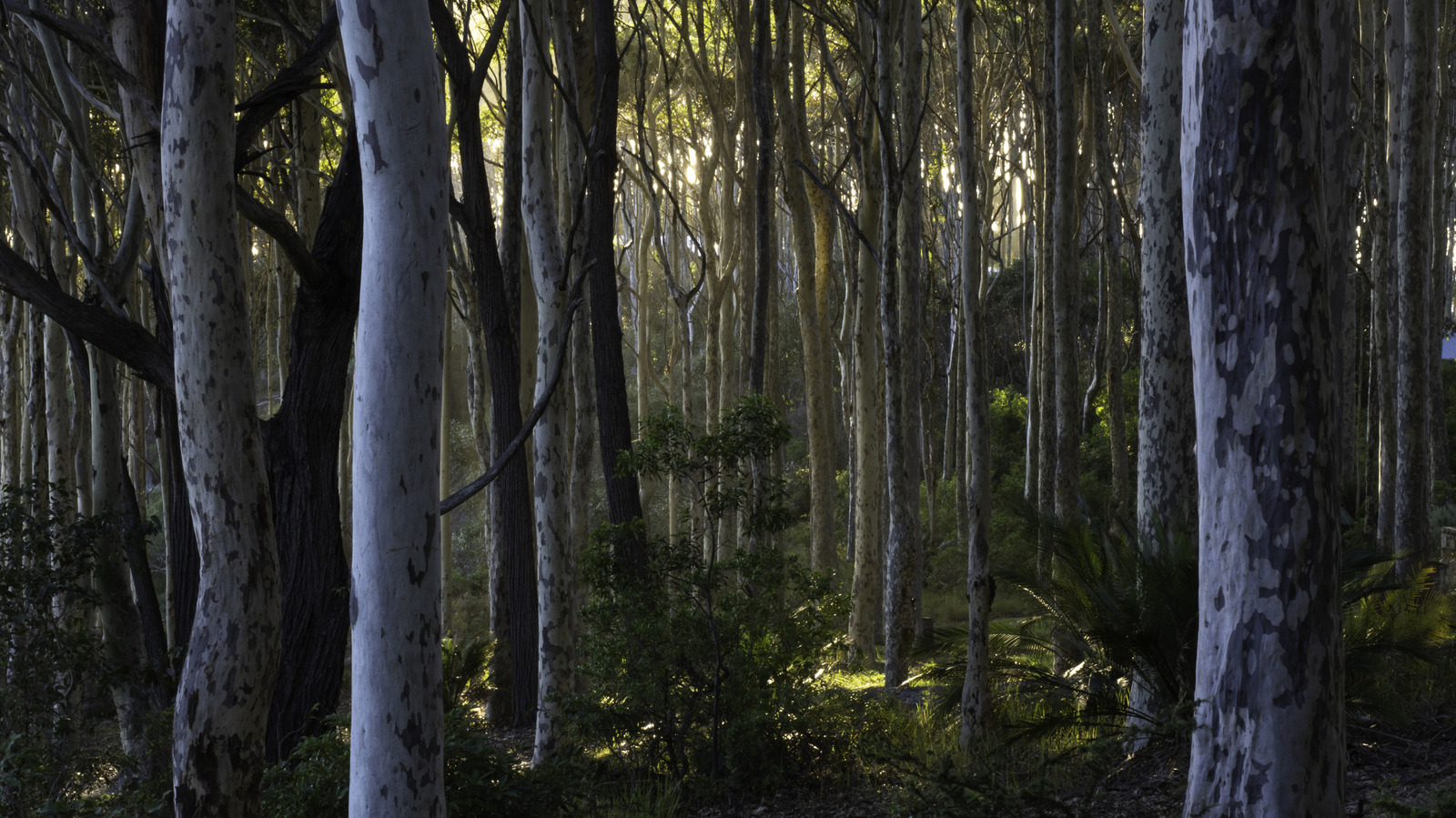 Le plus récent parc national d'Australie offrira une escapade nature décontractée à Sydney