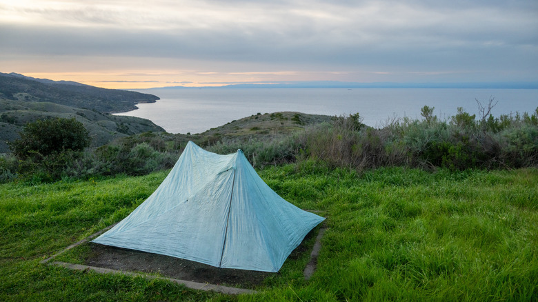 Une tente sur l'herbe verte de l'île de Santa Cruz, surplombant l'eau.