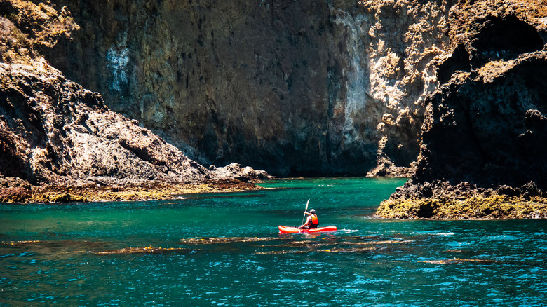 Un kayakiste de mer parmi les grottes marines du parc national des Channel Islands.