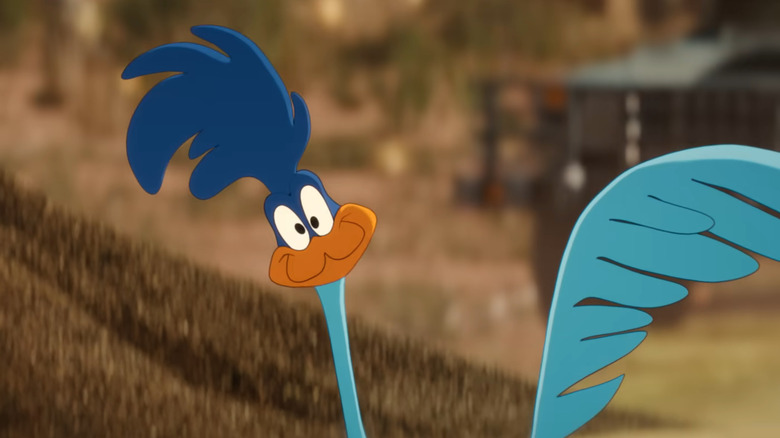 Le Road Runner penche la tête avec un sourire narquois dans Coyote vs Acme