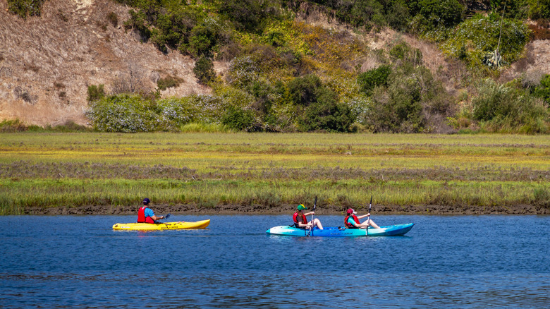 Kayak dans la baie supérieure de Newport.