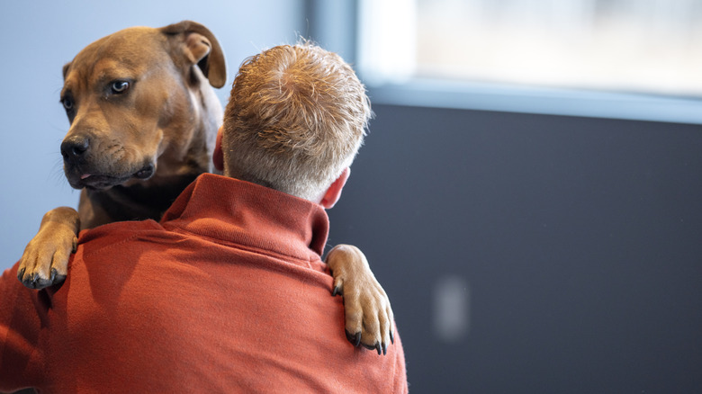 Homme tenant un gros chien dans ses bras
