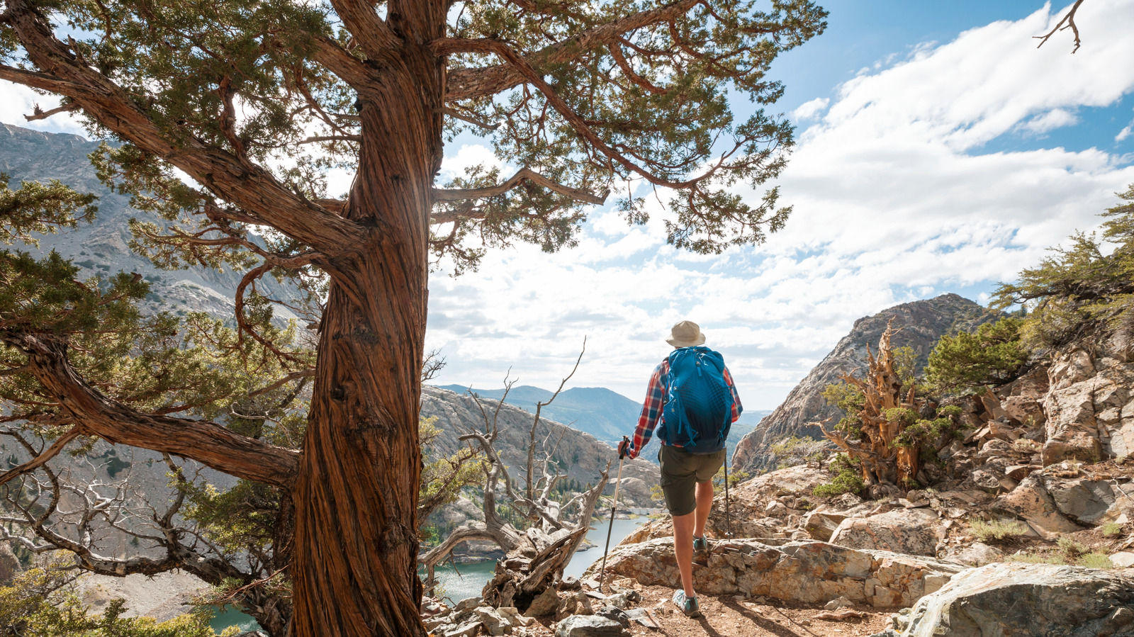 Le meilleur État pour la randonnée n’est pas l’Utah ou le Colorado