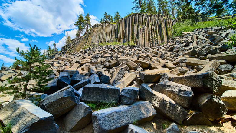 Les colonnes de basalte du Devils Postpile National Monument en Californie.