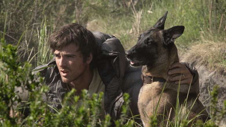 Jacob Elordi dans le rôle de High grattant le cou de son chien alors qu'il se blottit dans l'herbe dans The Dog Stars