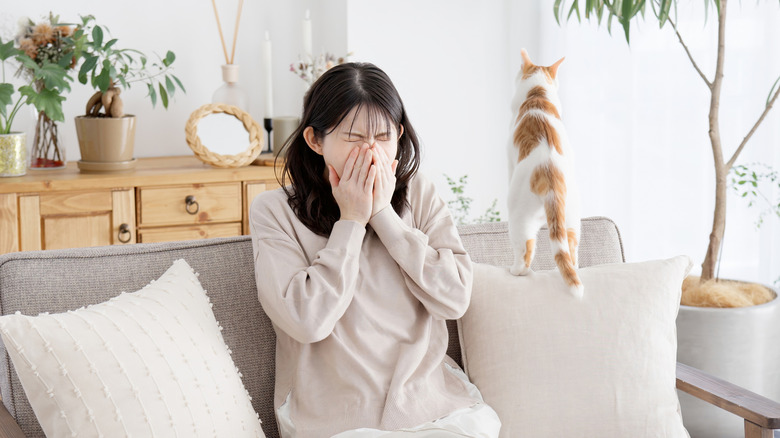 Femme assise à côté d'un chat, couvrant le nez et la bouche en éternuant