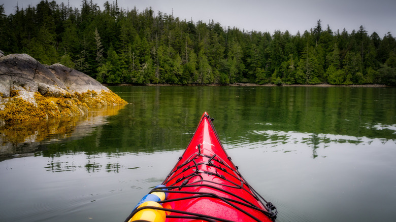 Un kayak entouré par l'océan et s'approchant d'une île boisée dans la réserve de parc national Pacific Rim