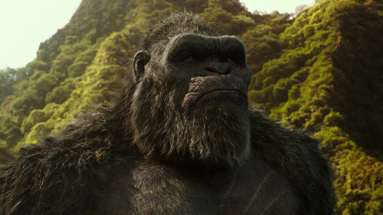 Kong tous enchaînés dans Godzilla contre Kong
