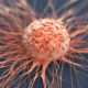 Les scientifiques affirment que cette protéine ancienne pourrait être une arme puissante dans la lutte contre le cancer